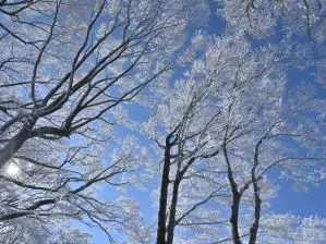 写真4 八合目付近にて 写真4 八合目付近にて