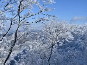 写真5 九合目付近にて 写真5 九合目付近にて