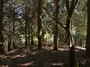 写真6 小屋山山頂 写真6 小屋山山頂