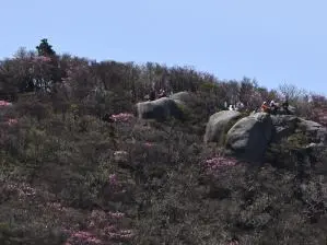 写真7 国見岳山頂付近 写真7 国見岳山頂付近