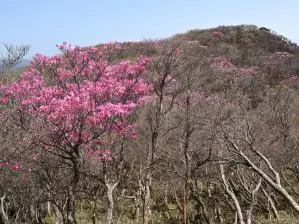 写真3 国見岳北面の県境尾根にて(撮影:4月28日) 写真3 国見岳北面の県境尾根にて(撮影:4月28日)