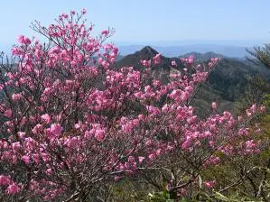 写真1 御在所岳山頂・朝陽台にて 写真1 御在所岳山頂・朝陽台にて