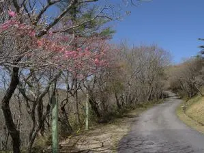 写真2 御在所岳山頂 写真2 御在所岳山頂