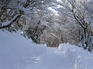 写真6 御在所岳・山頂部にて 写真6 御在所岳・山頂部にて