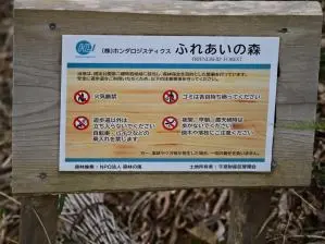 写真1 ふれあいの森 写真1 ふれあいの森