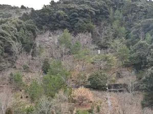 写真1 砂防工事 写真1 砂防工事