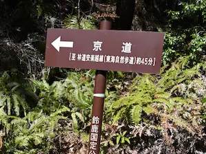 写真9 「京道」標識、林道鈴鹿南線側 写真9 「京道」標識、林道鈴鹿南線側