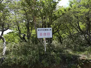 写真7 裏道8合目標識 写真7 裏道8合目標識