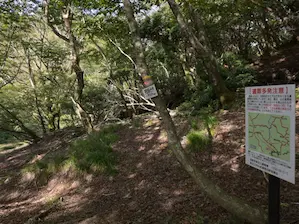 写真1 沢谷峠にて 写真1 沢谷峠にて