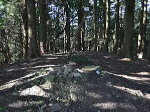 写真4 三子山中峰にて 写真4 三子山中峰にて