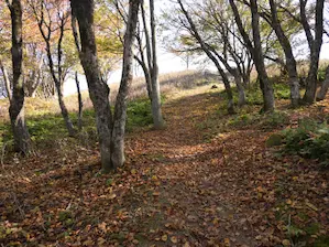 写真1 山頂手前 写真1 山頂手前
