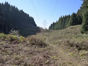 写真5 関電鉄塔から西隣の鉄塔を見る 写真5 関電鉄塔から西隣の鉄塔を見る