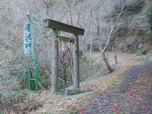 写真3 青池神社鳥居 写真3
