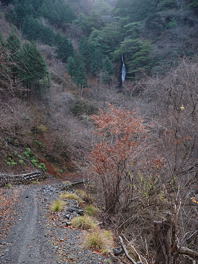 写真3 阿弥陀滝 写真3 阿弥陀滝
