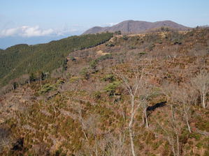 写真5 伐採地と笙ヶ岳、左は伊吹山 写真5 伐採地と笙ヶ岳、左は伊吹山