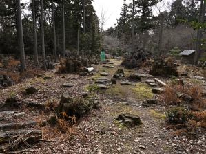 写真3 國束寺跡 写真3 國束寺跡