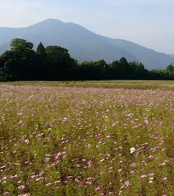 写真1 烏帽子岳(熊坂山) 写真1 烏帽子岳(熊坂山)