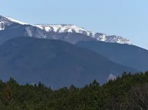写真12 藤原岳 写真12 藤原岳